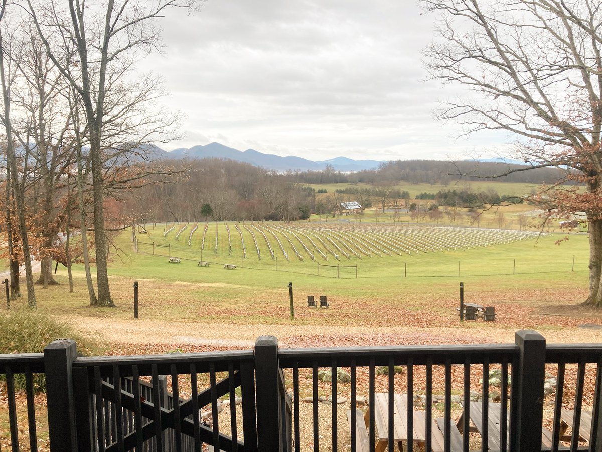CHARLIEWINES's tweet photo. #shenandoahvalley rolling hills of #eccoadessovineyards vineyards of Saperavi, Riesling ,Cabernet franc grapes just beautiful.the winery was founded in 2020 by Mike and Cierra.A place to must visit for great wine and hospitality. #vawine
#saperavi🍇 #virginiawine #thewaysofwine https://t.co/kjedfa6gET