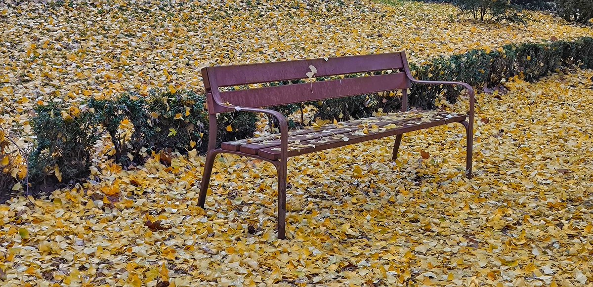 Hay veces que es mejor hacer un alto en el camino y descansar.