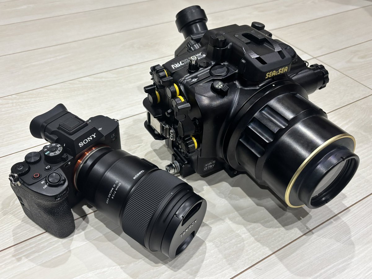 AlphaMasa's tweet photo. 日本で数人ぐらいしか興味のない報告します🤣
Tamron 90mm Macroは無事Sea&Sea DXマクロポート90に収められたことを報告します!
あーひと安心😊
#Seaandsea
#水中マクロ https://t.co/1vaho3G2iC