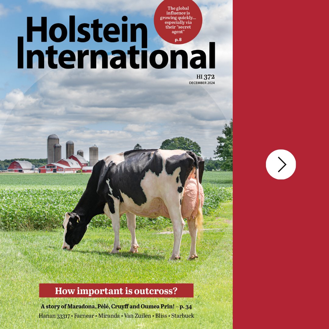 Holstein International tweet media