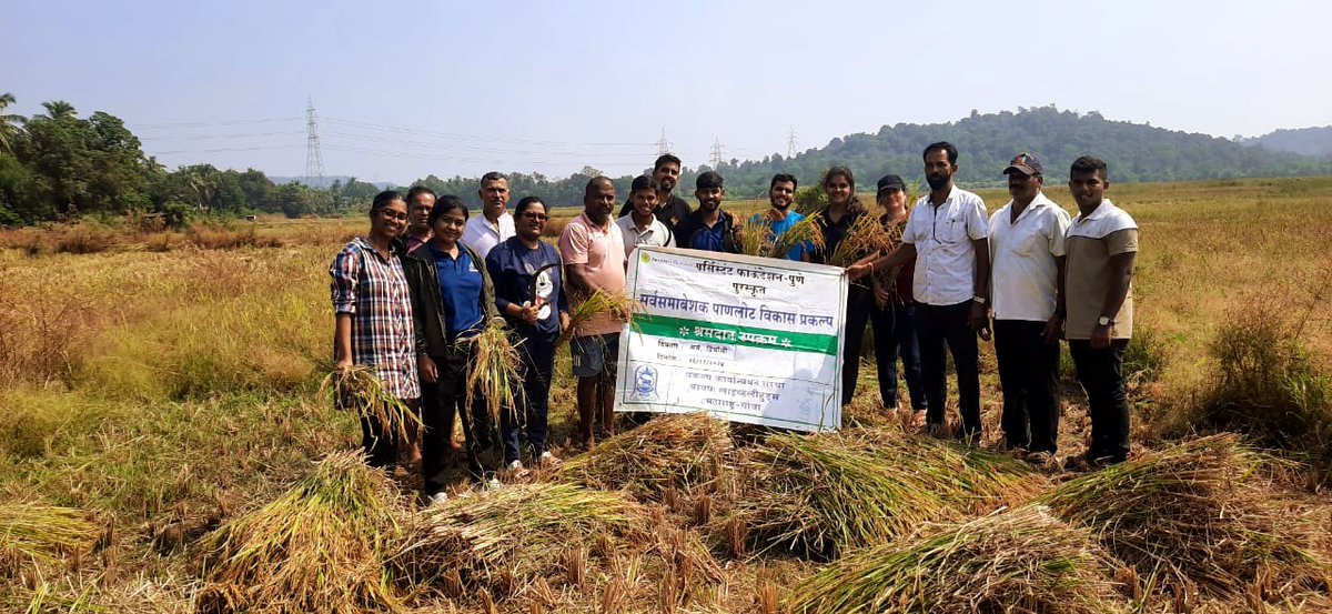CSR_Persistent's tweet image. Our Persistent Foundation Goa team joined local farmers in the paddy fields, embracing traditional rice harvesting. We learned, supported, and connected with the land—sowing seeds of a greener, brighter future. 🌱 

#CSR #PlantationDrive #persistentfoundation