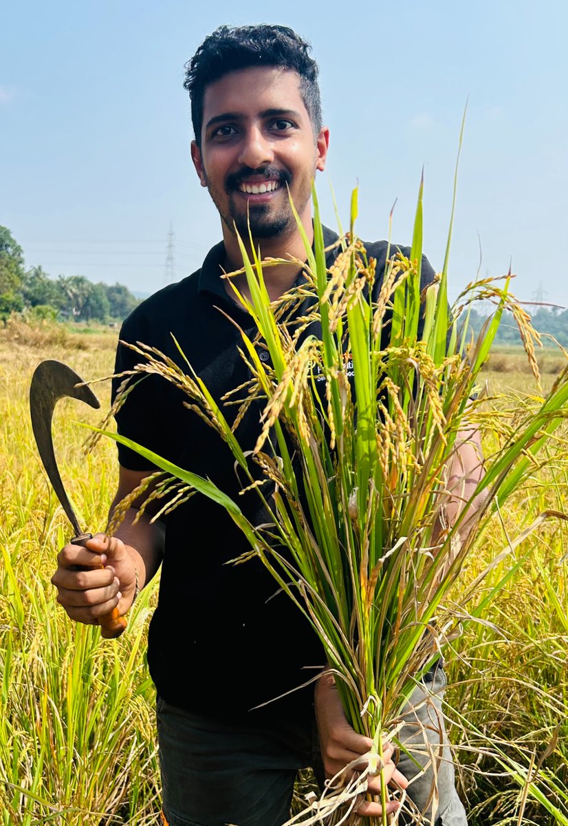 CSR_Persistent's tweet image. Our Persistent Foundation Goa team joined local farmers in the paddy fields, embracing traditional rice harvesting. We learned, supported, and connected with the land—sowing seeds of a greener, brighter future. 🌱 

#CSR #PlantationDrive #persistentfoundation