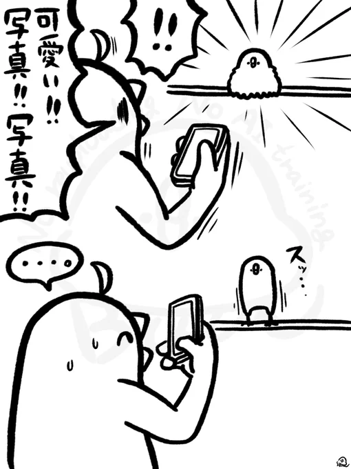 可愛い瞬間を撮らせてくれないバード 