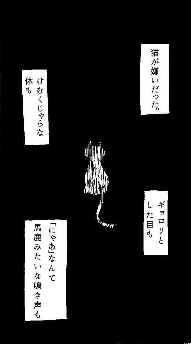 1度だけ人間の言葉を話せるようになった黒猫の話①

#漫画が読めるハッシュタグ #創作漫画 
