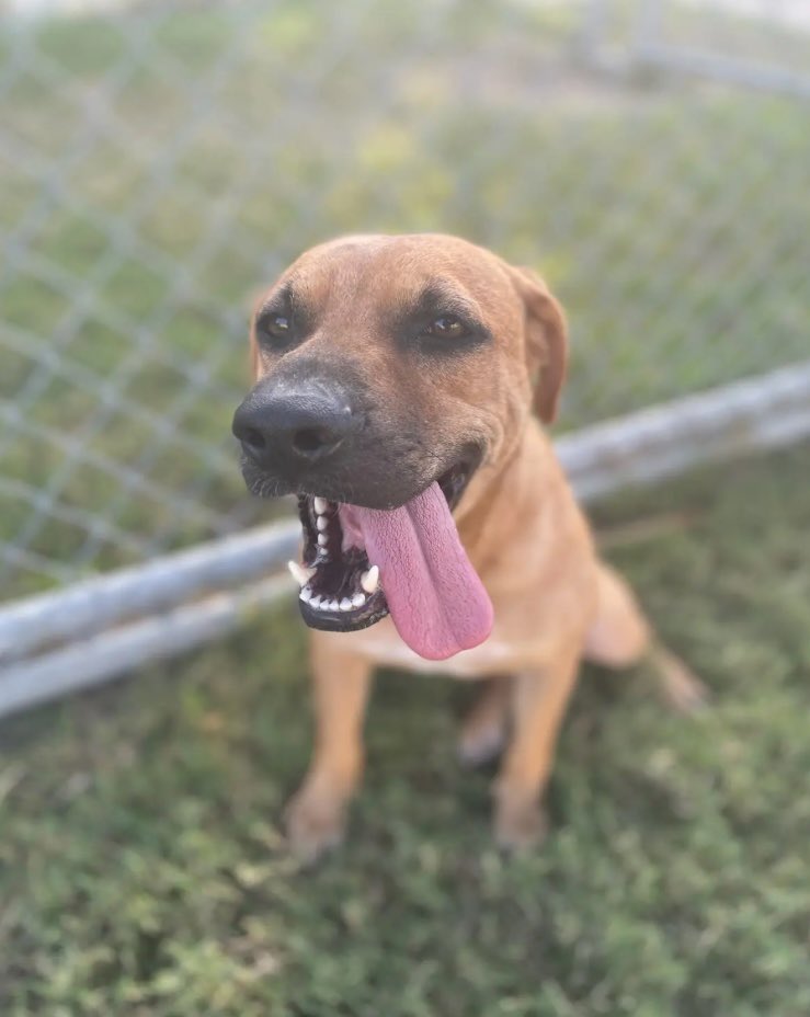 Lisa Brabson. tweet media