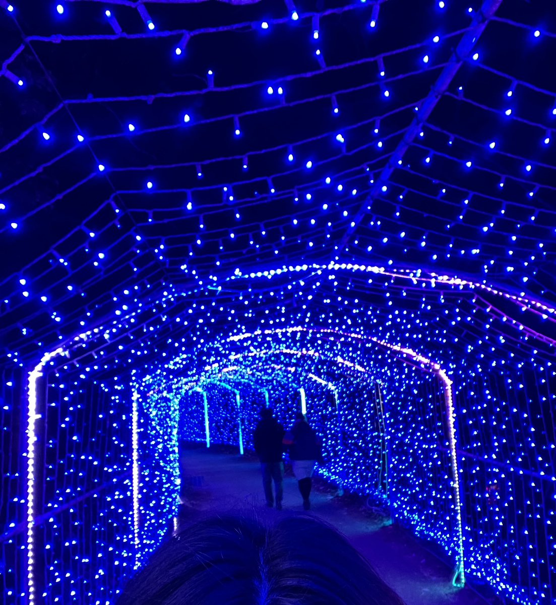 イルミネーションでコミュニケーション🎄
