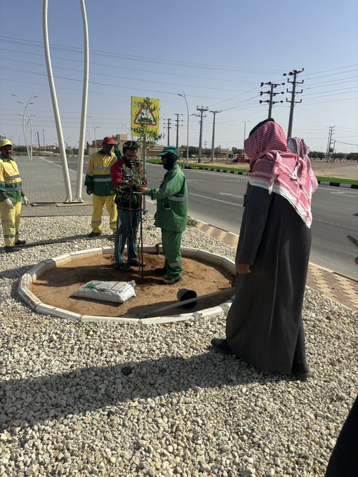 الصورة