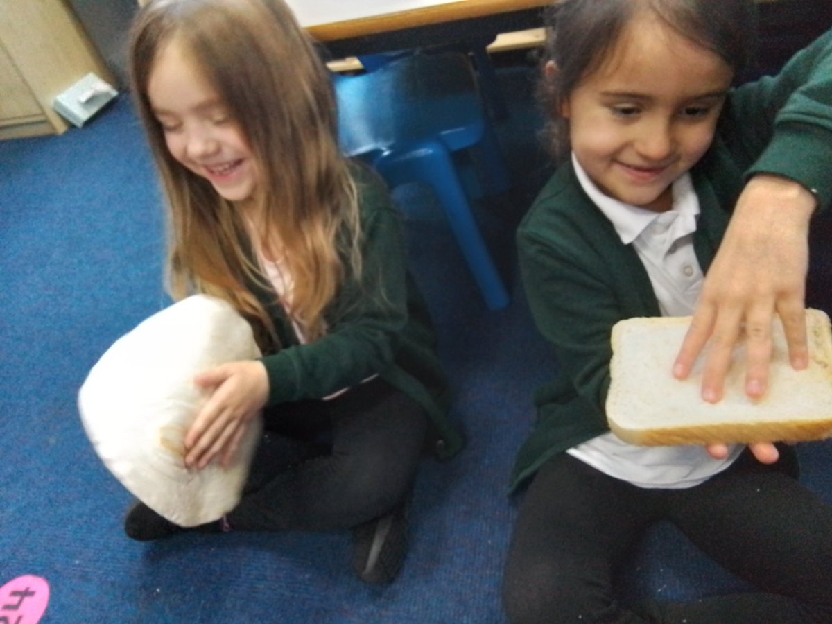 Mr_Hodgkinson's tweet photo. #farminabox Exploring bread! What is wheat? And where does our bread come from? https://t.co/10XFCk6cq1