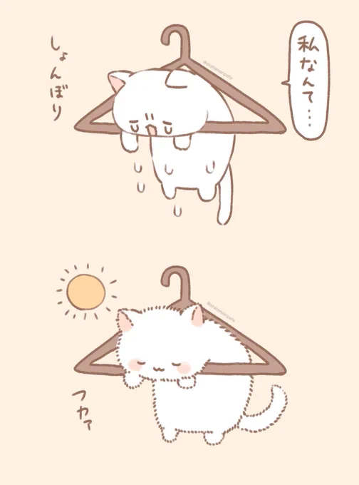 洗濯にゃんこ 