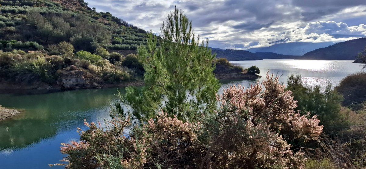 ValledeLecrin's tweet photo. As we approach the end of 2024 and a well-earned Christmas break, our new post gives you a brief overview of this year, what it meant for the property market in the #LecrinValley, our plans, projects and expectations for 2025.
https://t.co/TQ3wn6iOfC https://t.co/Bh64MeRWew