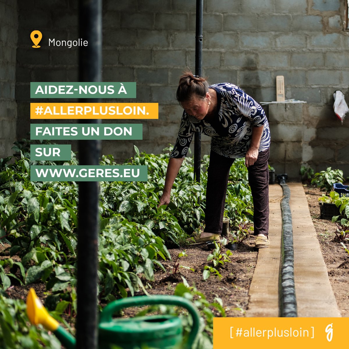 [#allerplusloin]  En Mongolie, contre l’insécurité alimentaire et la pollution. 

Le Geres agit pour le développement de solutions énergétiques durables et adaptées au défis du territoire. 

Aidez-nous à #allerplusloin, Faites un don sur  🤝ow.ly/PHAa50UjIWT