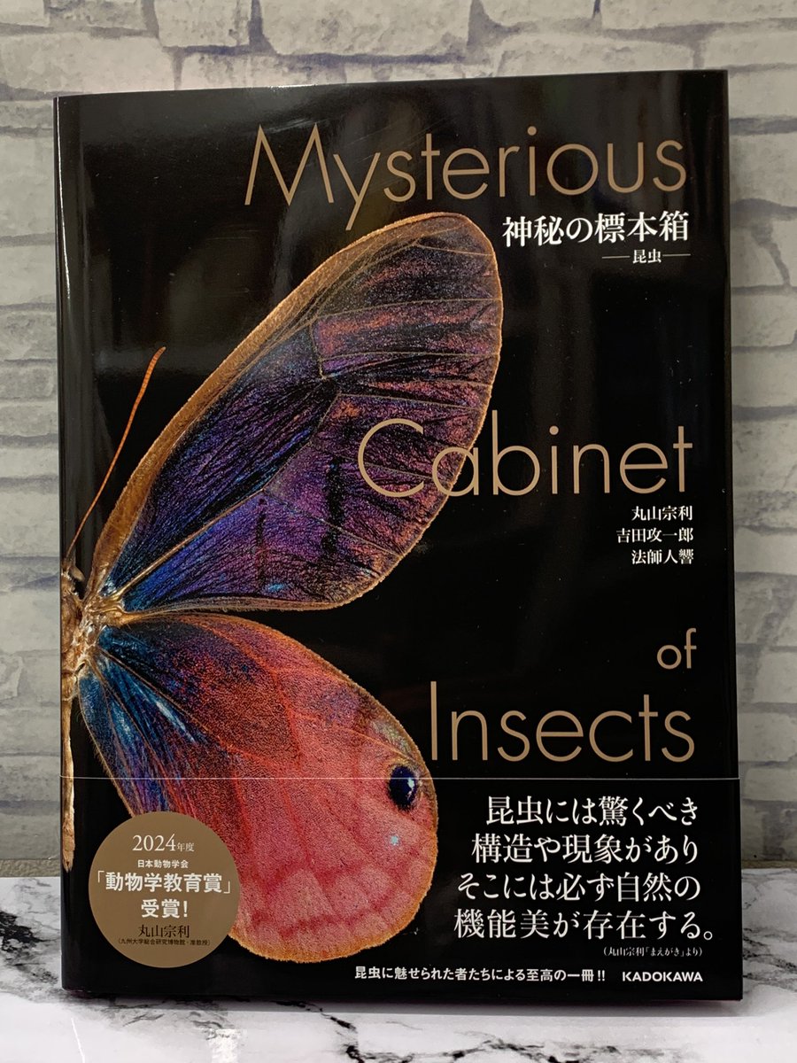 6階自然科学】 ✨新刊✨ KADOKAWA 『神秘の標本箱-昆虫- Mysterious