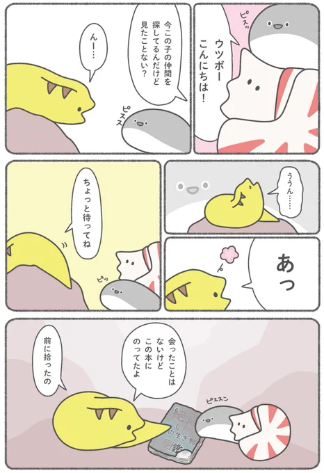 (6/6) 