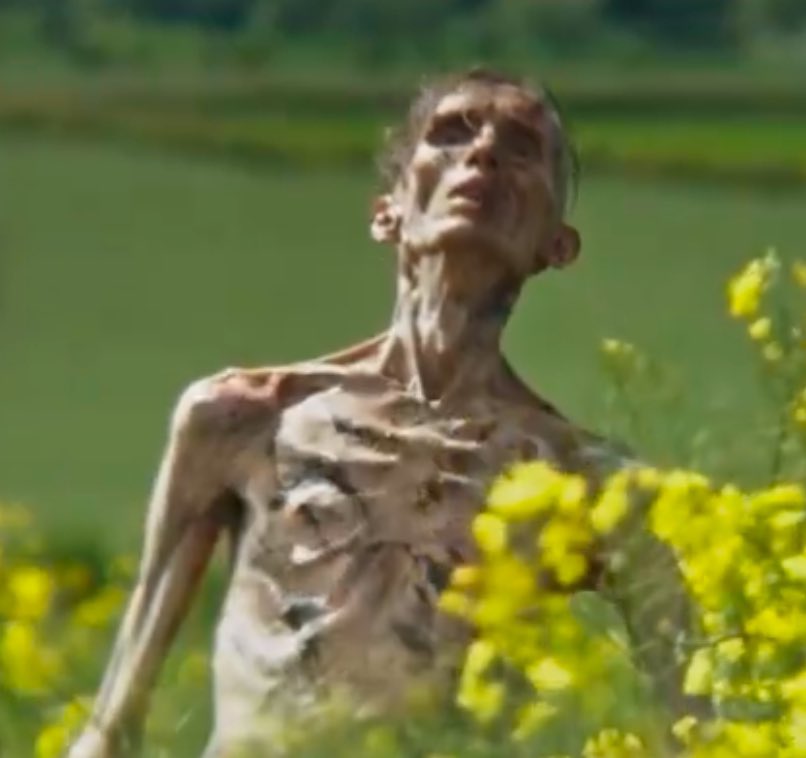 ToneDogg tweet media