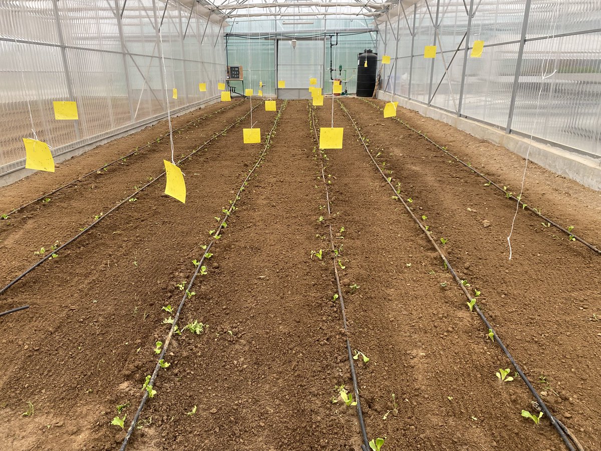RegioInterreg's tweet photo. 🇪🇺 #CohesionPolicy is supporting research, innovation &amp; digital technologies shaping European #agriculture!

#Interreg IDEAS project supported young farmers 🧑‍🌾 from 🇬🇷 and 🇲🇰 to create their own innovative business.
 
Testimonies of beehive keepers ⤵️

 https://t.co/ze3l9N3KEx https://t.co/EPycj8Qzvw