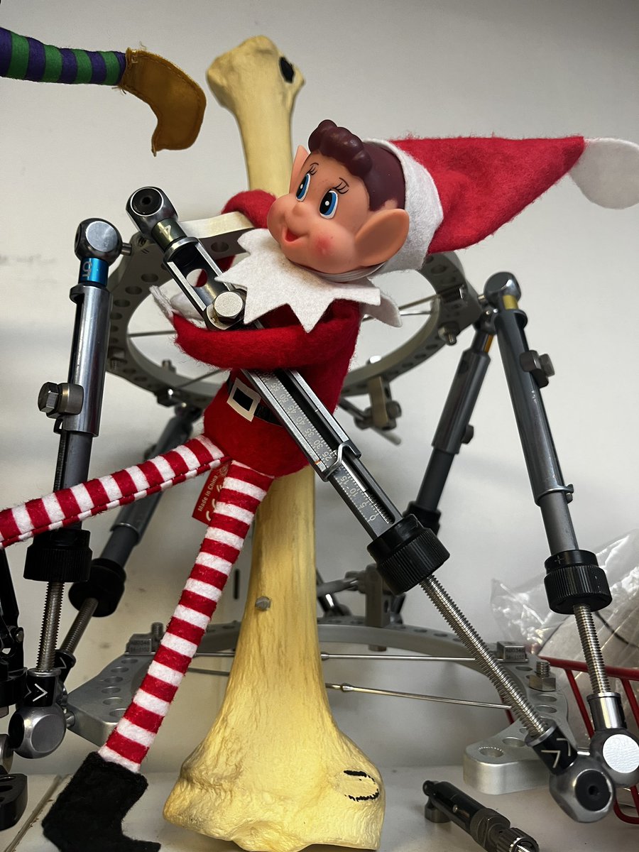 StGTraumaPTOT's tweet photo. Limb Recon Elves in T&O Therapy Gym @STGMSKResearch @geshNHS @StGTraumaPTOT @OrthoGeorgePods #Christmas2024 #limbrecon #T&OPhysio&OT https://t.co/J5XHq328I7