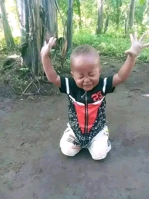 nze_inno's tweet image. &quot;Why did the investor bring a ladder to the stock market?

Because they wanted to take their investments to a HIGH level! #InvestmentPuns #StockMarketHumor #LadderToSuccess&quot;