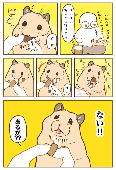 ハムスターはみんなブチギレてるんですかと聞かれましたが、個体差が激しいです

▼ブチギレないシリーズ(1/2) 