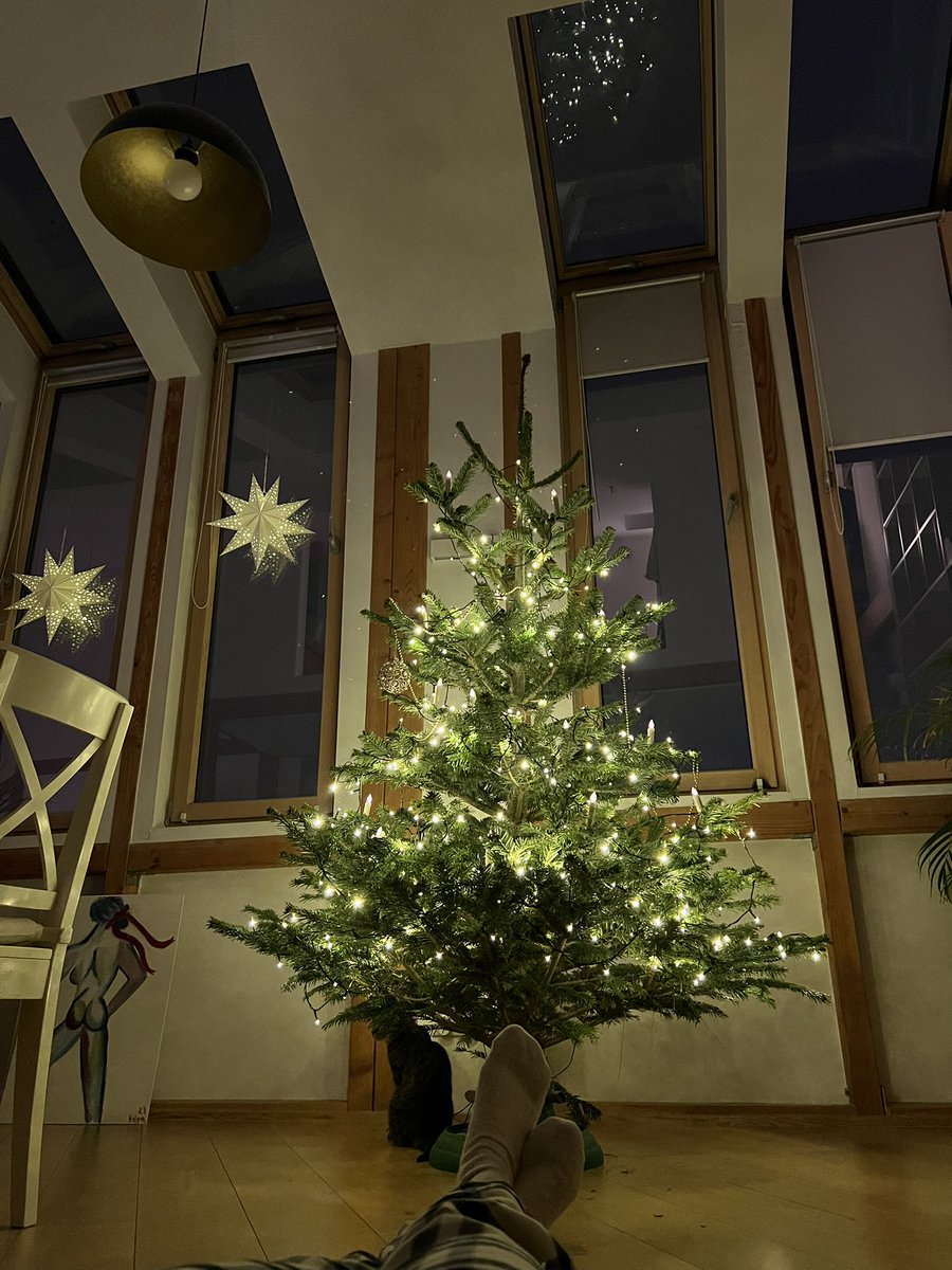 2 metres! 🎄