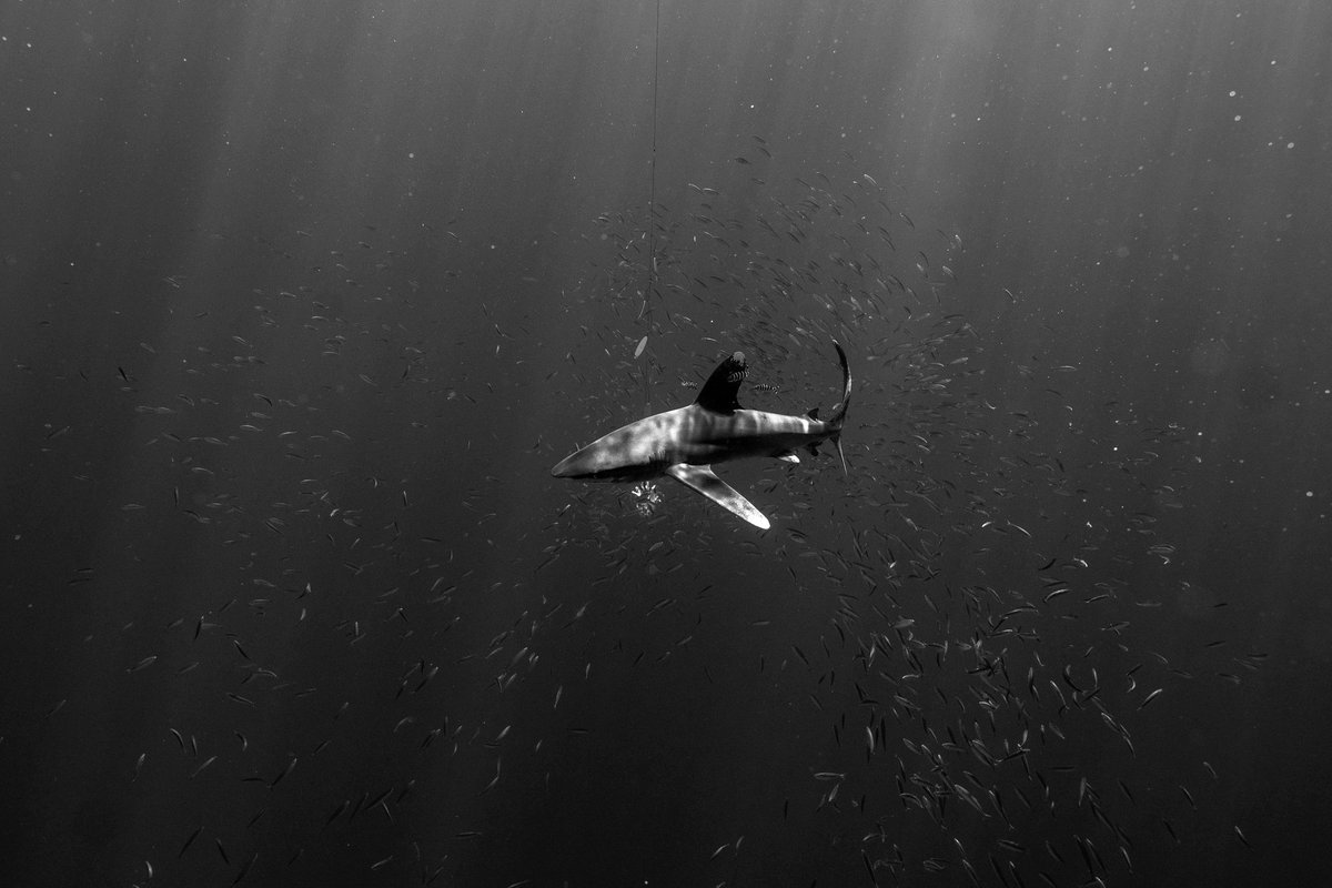 I took this yesterday 🤙🏽
