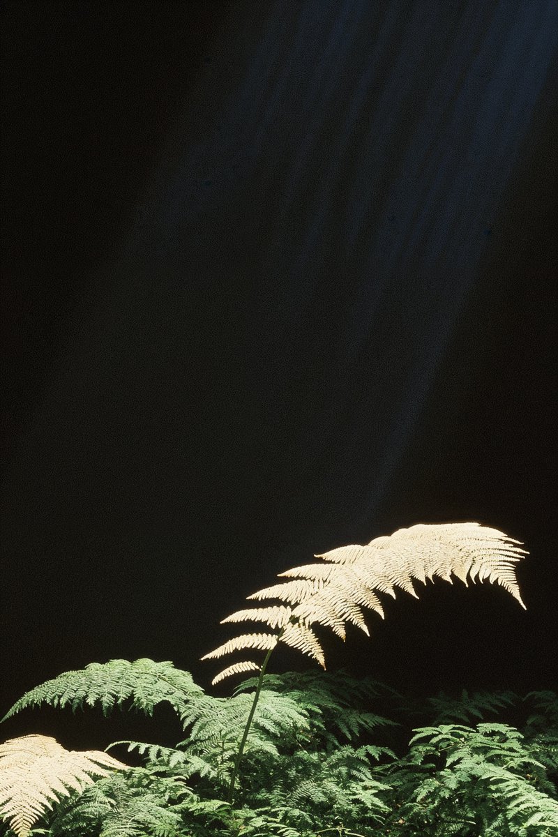 we’re all the same. or are we?