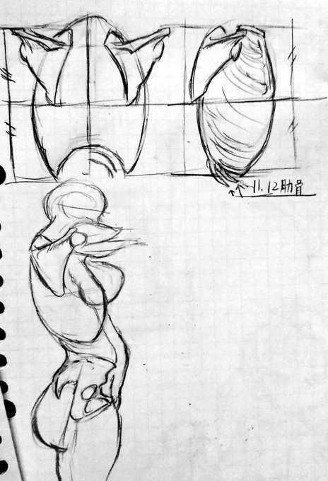 仕事おわー帰宅
持ってて(カバンの中)よかった
モルフォミニシリーズ 