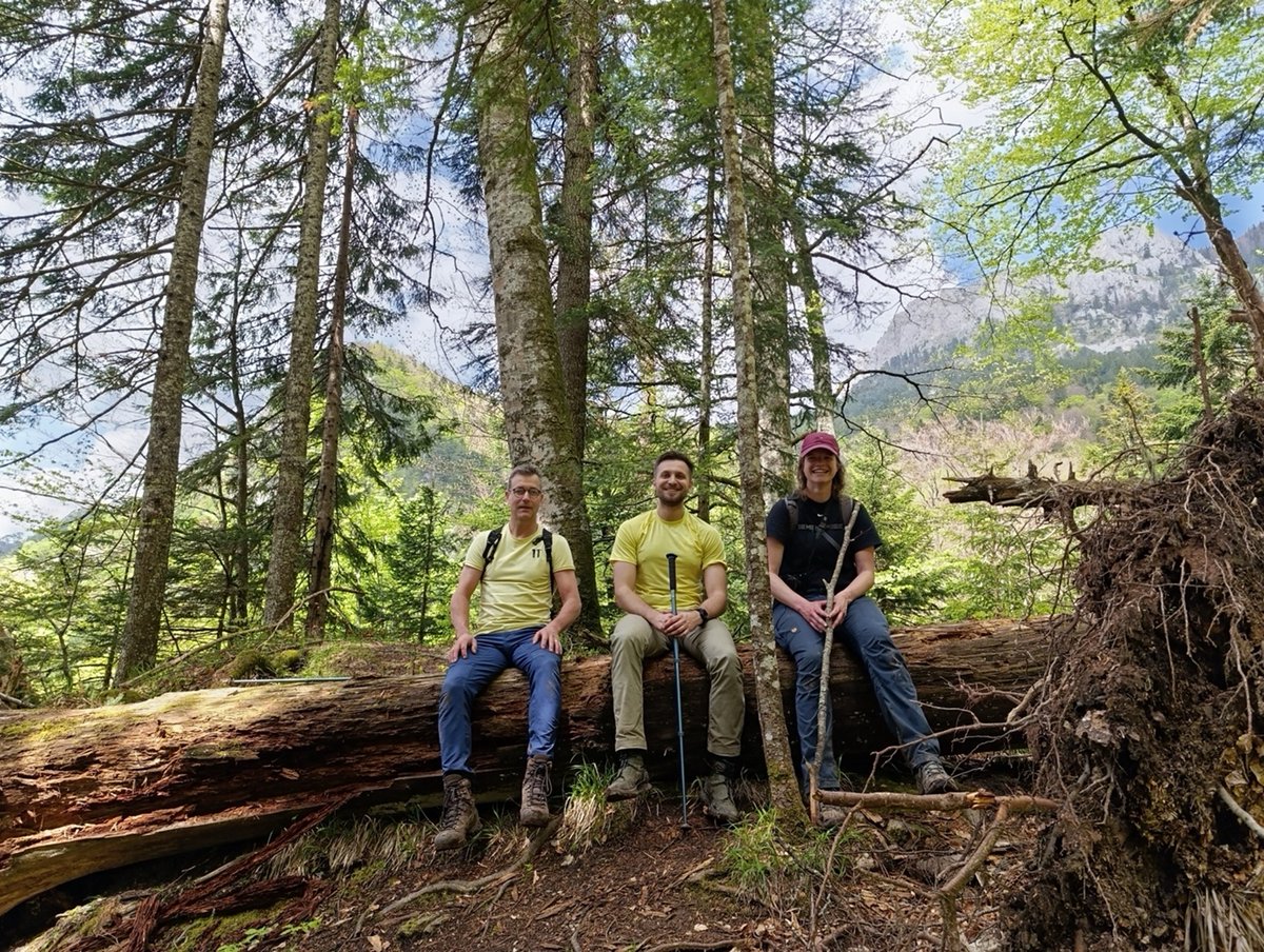 WILDCARD_EU's tweet photo. Bosnia’s #forests aren't just #biodiversity havens. They're a testament to nature’s #resilience, a place of refuge &amp; a reference for understanding ecosystems without human interference

Read @WUR's Ajdin Starcevic new blog post on his field trip in Bosnia>https://t.co/xBHBSN2l7q https://t.co/xw6XSgb4SM