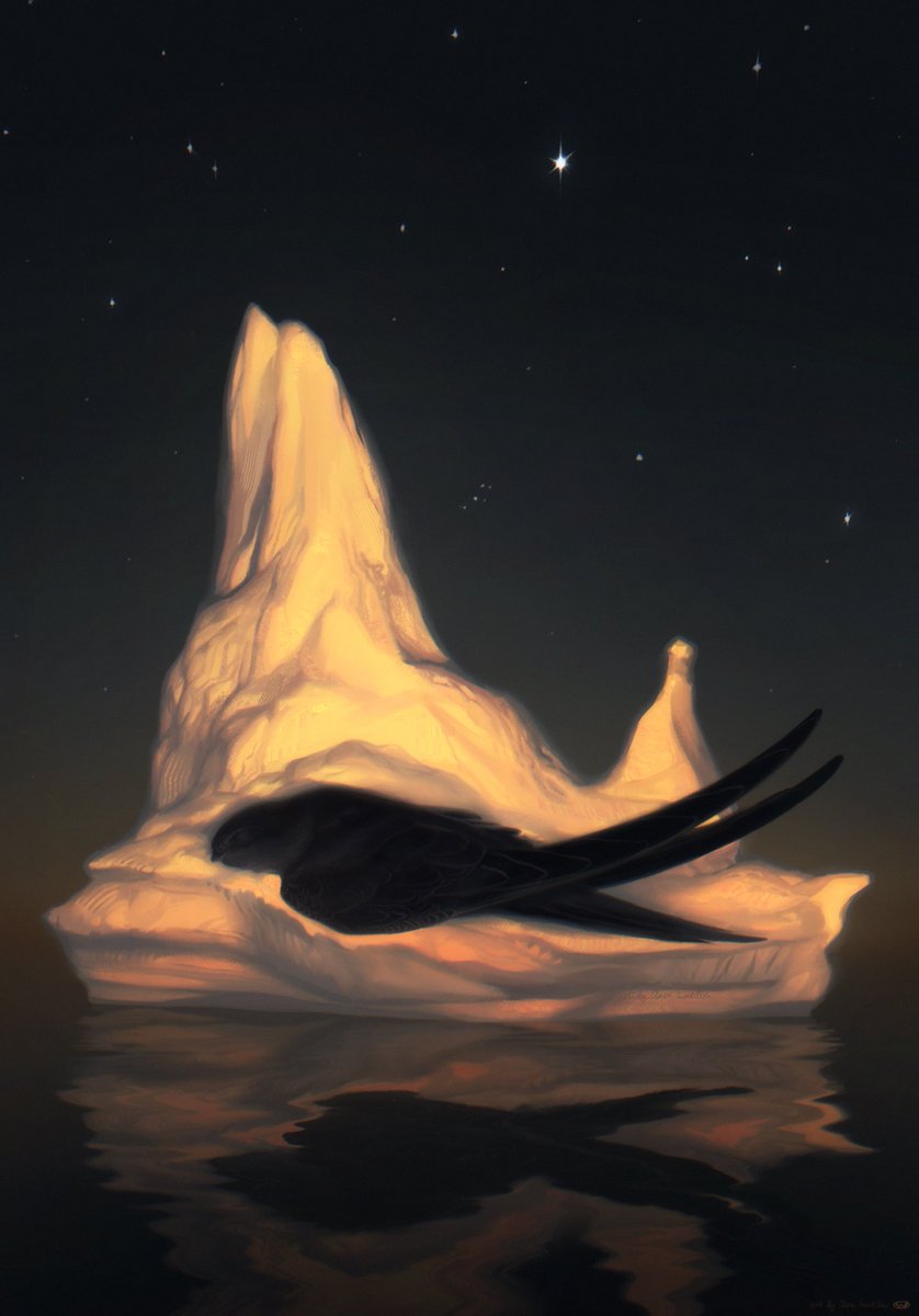 clarascintilla's tweet image. Peace