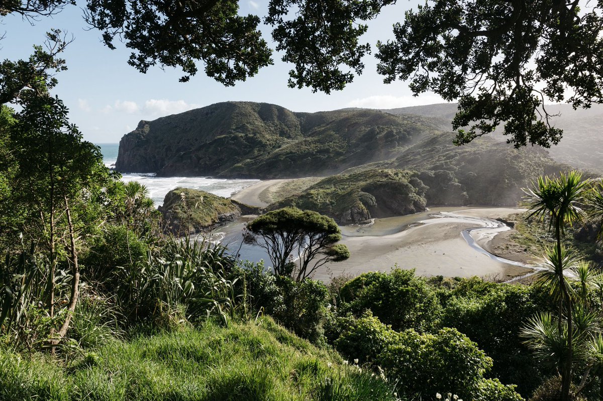 Huge day chairing Policy &amp; Planning Committee, passing a huge number of important items. A particularly special one, was progressing key elements of a deed of acknowledgement w Te Kawerau ā Maki under the Waitākere Ranges Heritage Area Act 2008, &amp; approving public engagement 🧵