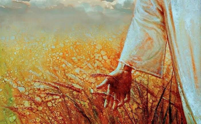 Jesus, misturava-Se com as multidões. Não rejeitava e não tratava com desprezo a ninguém. Da mesma forma, temos a responsabilidade, como “cooperadores em Cristo Jesus” de lançarmos a boa semente do evangelho no coração de todos.||Rm16:3|| #rpSp