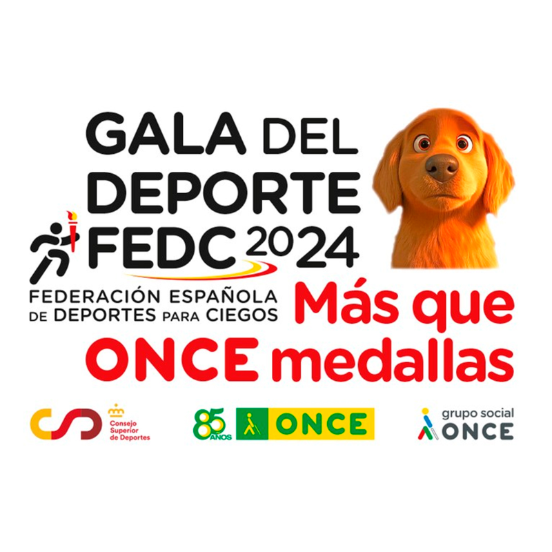 ONCE_oficial's tweet photo. ¡Más que ONCE medallas!👏

La #FEDC reconoce hoy, en su gala anual, el trabajo y trayectoria de deportistas ciegos, entidades, medios de comunicación, guías y técnicos de la Federación

@deportegob @FernandoOlmeda @Paralimpicos @ALBERT_RIALTAS @GrupoSocialONCE @FelopezFe