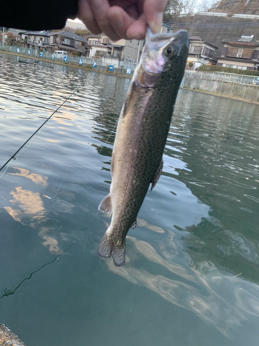 FWFC_Official_'s tweet photo. 師匠に釣れられ桂川ルアーフライ釣場行ってきました！
夕方は爆釣でした！後にyoutubeも投稿します！ https://t.co/3mhLB9BHfO