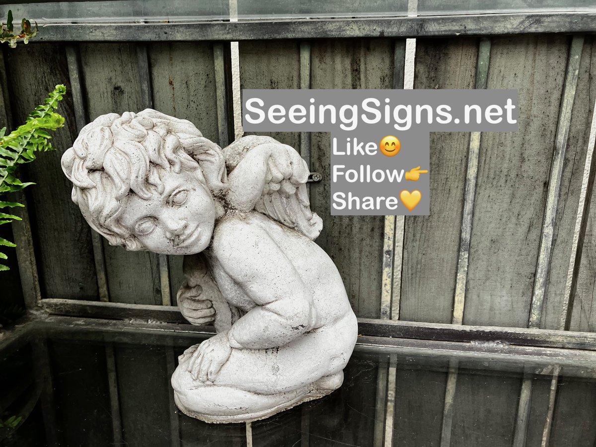 SeeingSignsBlog's tweet photo. Have you visited https://t.co/dCXXpKciye? https://t.co/EEKgxD2o9Q Link in bio.
#seeingsigns #signs #sign #lookingforsigns #whatdoesitmean #message #symbol #angel #cherub #divine #angelwings https://t.co/CwgiPBNF8k