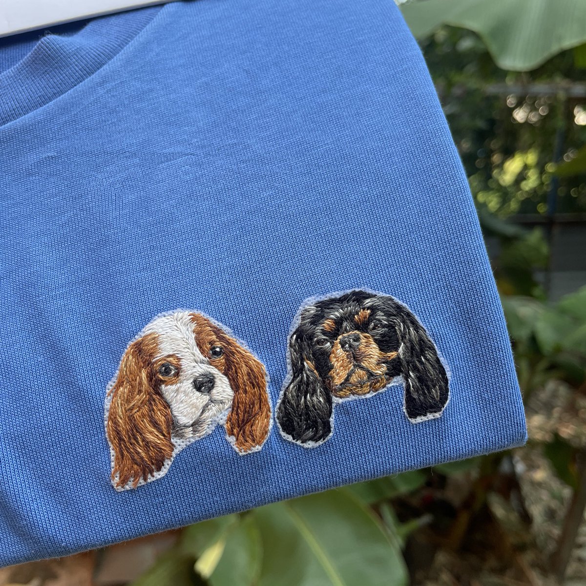 ดาริดา tweet media