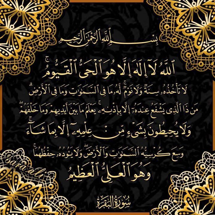 nada_d35's tweet photo. #صباح_الخير_ياعرب
 #سجن_صيدنايا https://t.co/1oXeQi1gJq