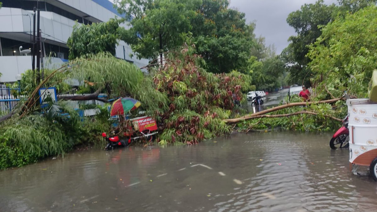 suebbakso's tweet photo. @e100ss jl khairil anwar sebelah taspen jl. diponegoro pohon tumbang menutup akses https://t.co/UPnH9pLRfF