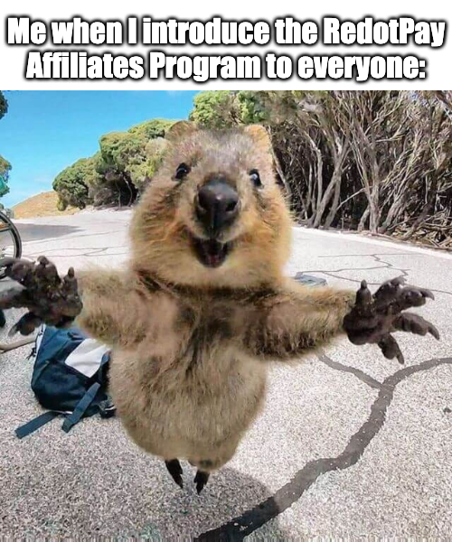 🎉 RedotPay Affiliates Program Giveaway!

😲 Did you know you can earn up to $40 for each successful card application? Share our program with your friends and boost your earnings!

Prizes: 1 Physical Card+ 10 Virtual Cards

Easy way to enter the Giveaway:
✅Follow <a href="/RedotPay/">RedotPay Official</a> and