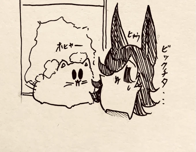 ヒャウ…おかえりなさい🐈 