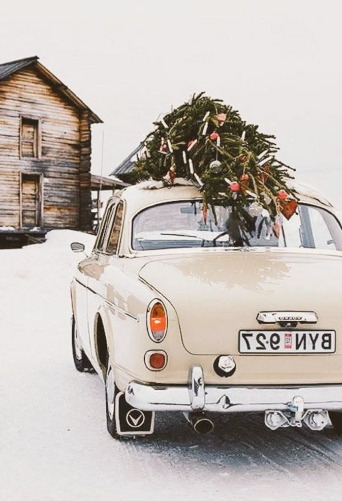 iloveitalyy tweet media