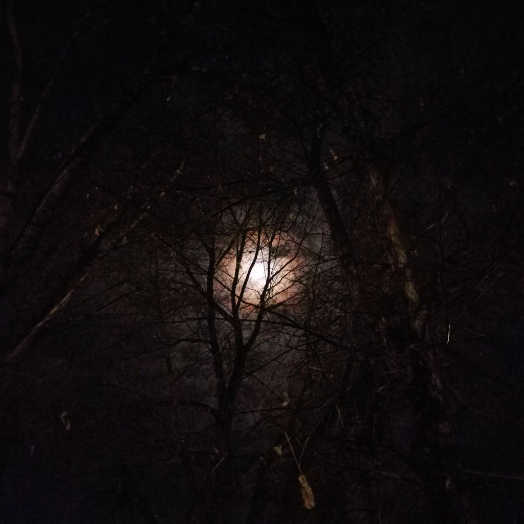 RemyAlberi's tweet photo. #moonhunter #nightsky https://t.co/hHb5zRIORG