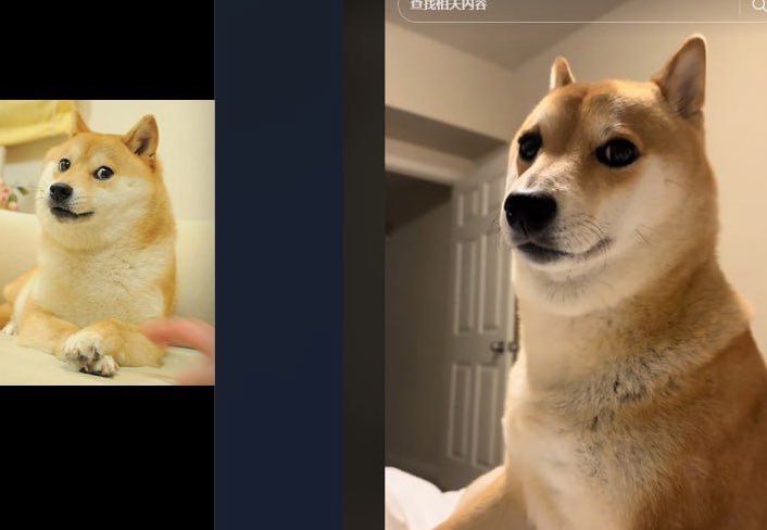 fomomofosol's tweet photo. gen z’s doge

send it

$yumi

FhbqJtDE5XXk9Netjvrx5nhmnXxFRAS9eoGLwMi2pump

Gamble 🎲 https://t.co/3t6peJiq4K