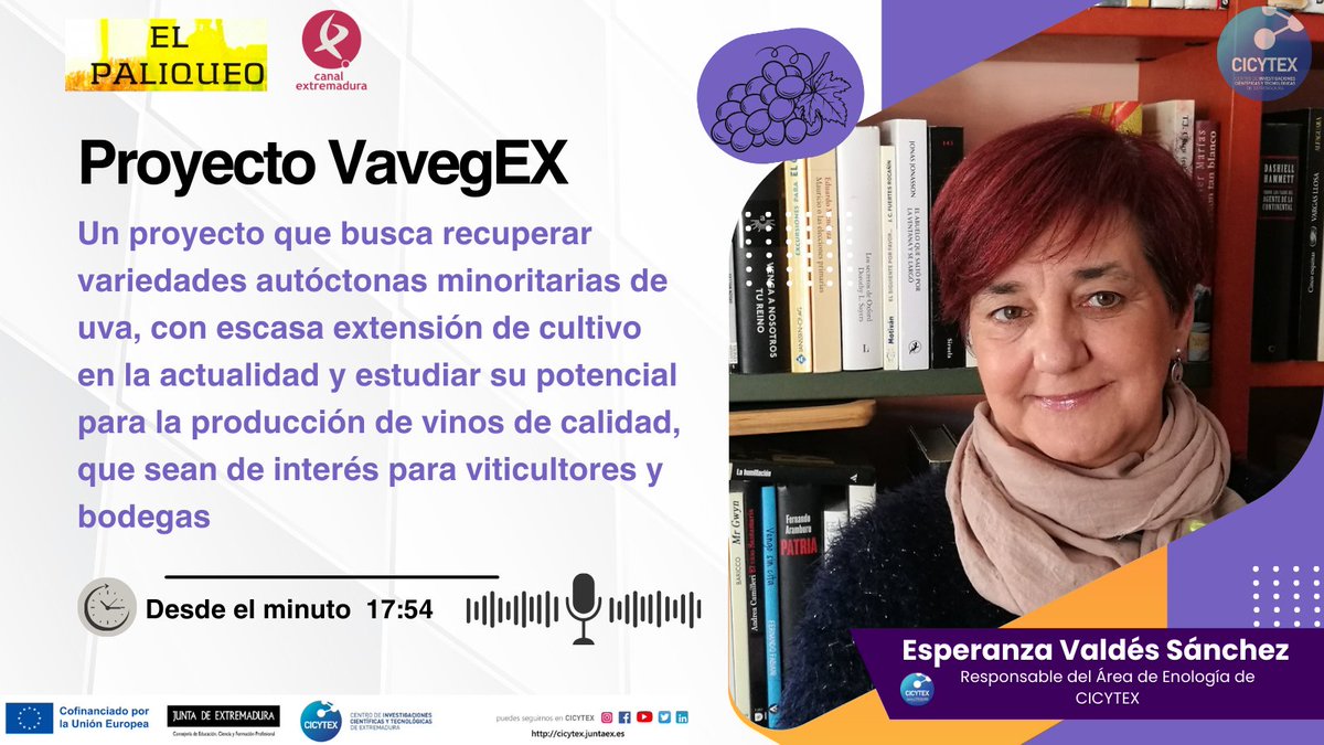 🙋‍♀️Si todavía no conoces nuestro Proyecto #Vavegex 🍇que 🔎busca la recuperación de variedades minoritarias autóctonas de uva y su potencial para producir vinos de calidad🍷
🎙️Aquí te lo cuenta nuestra responsable del Área de Enología 👩‍🔬Esperanza Valdés canalextremadura.es/a-la-carta/el-…