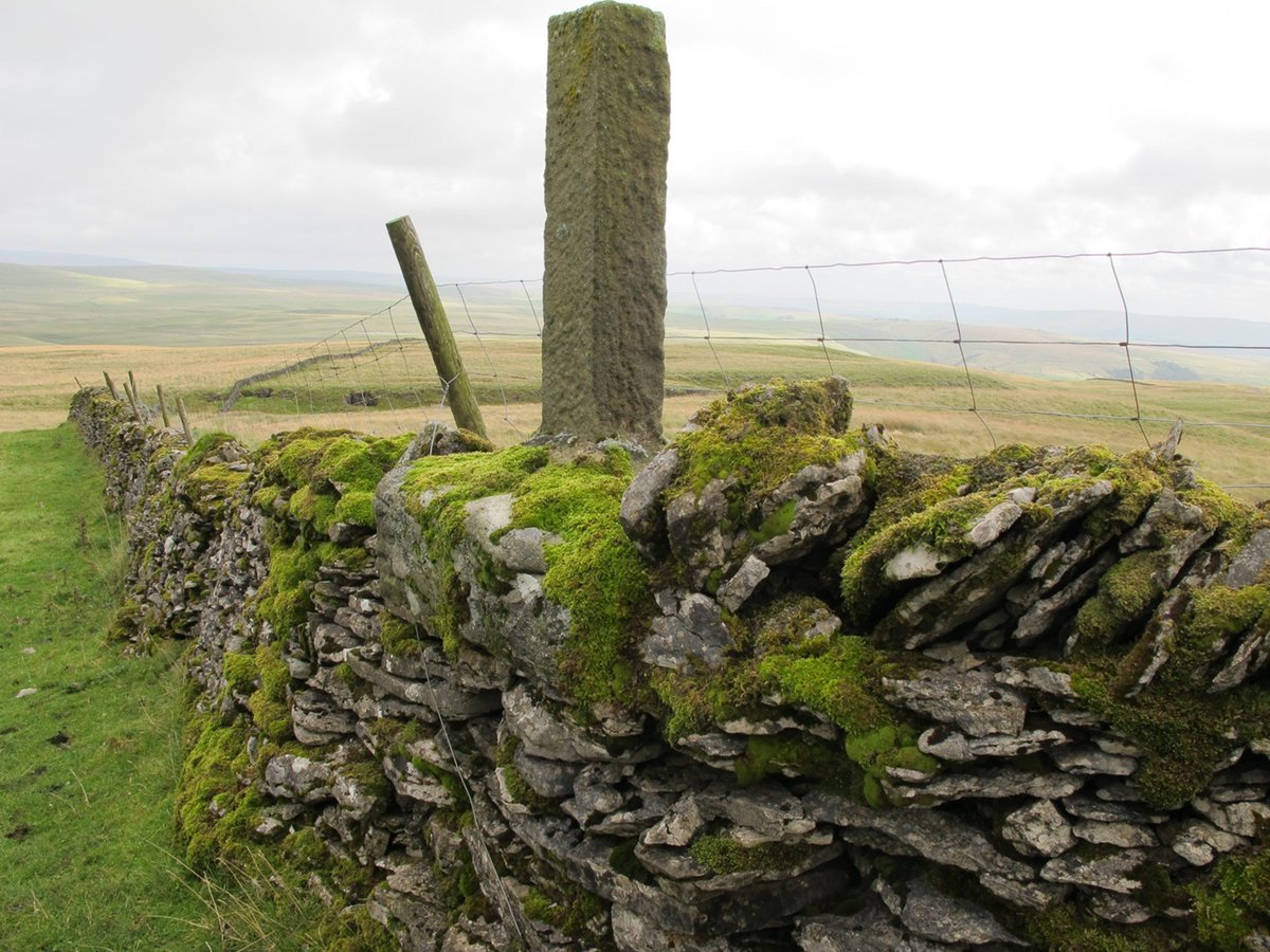 Simon Clarke #GoAndUseTheTrain (@comunityrailman) on Twitter photo This Saturday's Yorkshire Dales Explorer sees a chance to join a <a href="/foscl/">Friends of the Settle-Carlisle Line (FoSCL)</a> Guided Walk see communityraillancashire.co.uk/news/yorkshire… for more details or visit foscl.org.uk to find out more and about other guided walks. <a href="/northernassist/">NORTHERN 🚆</a> <a href="/setcarrailway/">Settle-Carlisle Railway CRP</a> <a href="/Kazza_belle/">Karen Bennett</a> This Saturday's Yorkshire Dales Explorer sees a chance to join a <a href="/foscl/">Friends of the Settle-Carlisle Line (FoSCL)</a> Guided Walk see communityraillancashire.co.uk/news/yorkshire… for more details or visit foscl.org.uk to find out more and about other guided walks. <a href="/northernassist/">NORTHERN 🚆</a> <a href="/setcarrailway/">Settle-Carlisle Railway CRP</a> <a href="/Kazza_belle/">Karen Bennett</a>