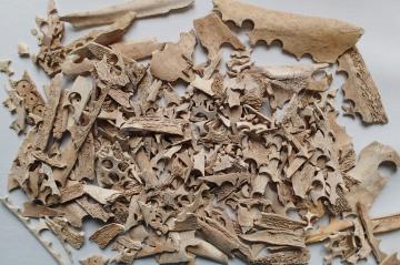 Actualités Inrap Midi-Méditerranée tweet media