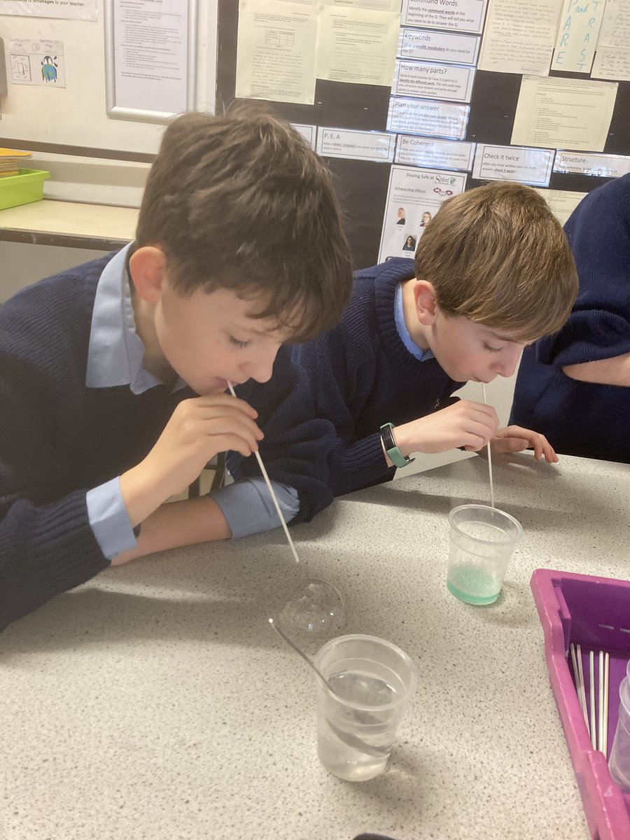 SibfordScience's tweet photo. Year 6 made bubbles today.  They learnt about what changes the stability and strength of the bubble and about expansion and flexion.  They also learnt how important it is to follow instructions and be patient! https://t.co/Lg3l09dCFr