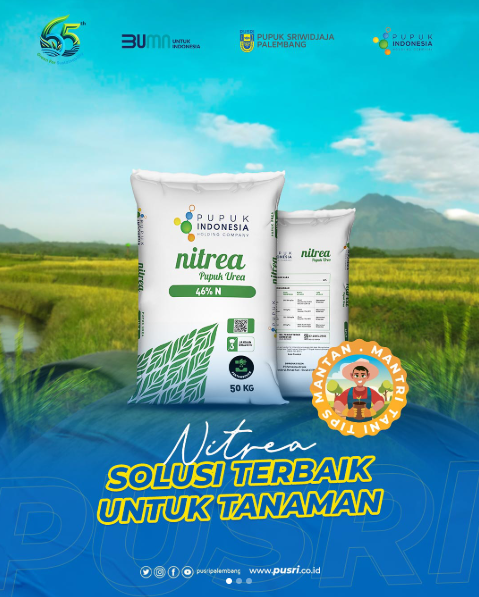 pusripalembang's tweet photo. Tips #ManTan (Mantri Tani) kali ini akan membahas tentang Nitrea.

Udah pada tau belum nih kalo tanaman membutuhkan nutrisi yang tepat untuk tumbuh subur dan menghasilkan hasil yang maksimal. https://t.co/kg1IbQVmU4