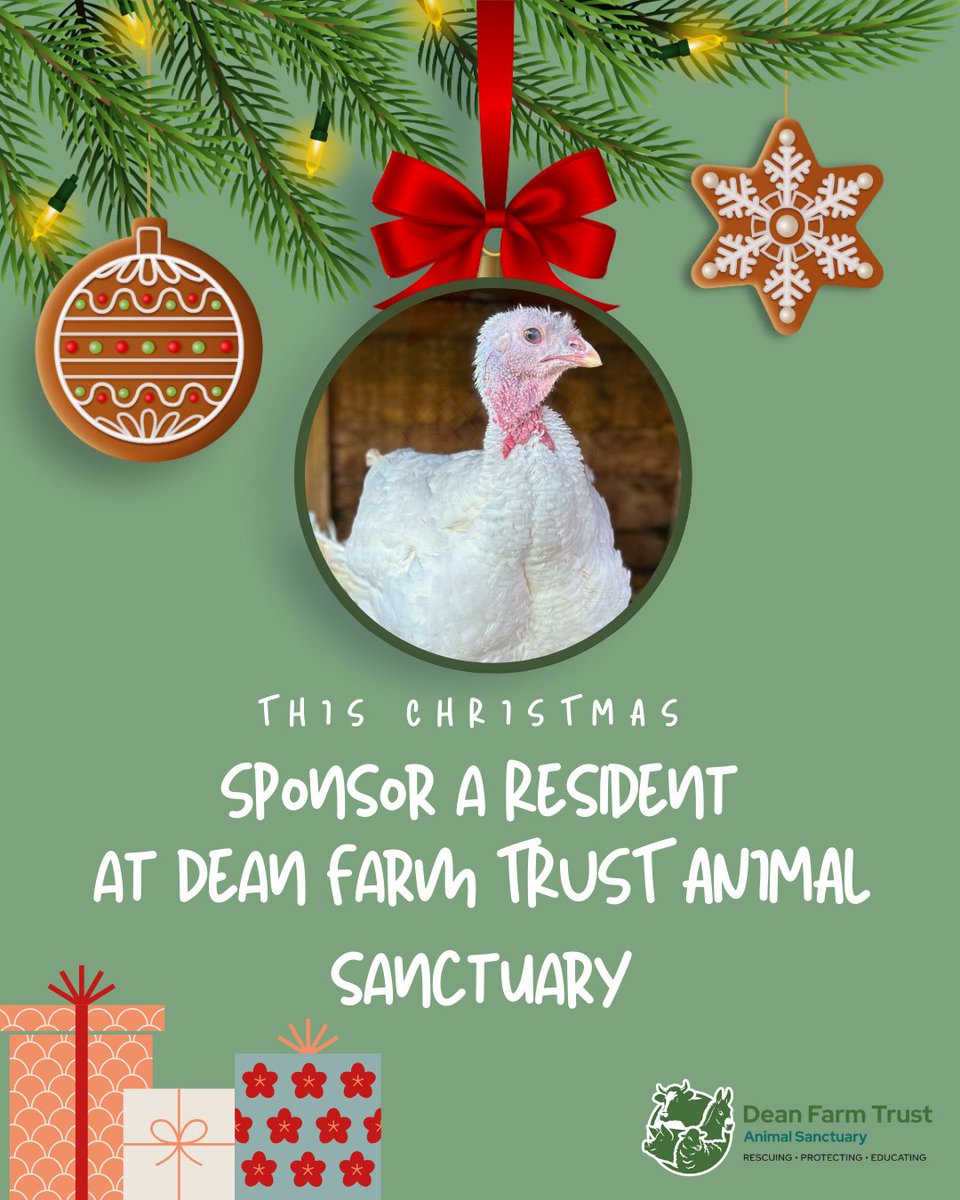 This Christmas, why not make the festive season extra special by virtually sponsoring one of our amazing residents for just £25? This is the perfect gift for you, your family and friends, and all animal lovers🎄❄️

deanfarmtrust.org.uk/sponsor/

#deanfarmtrust #veganchristmas