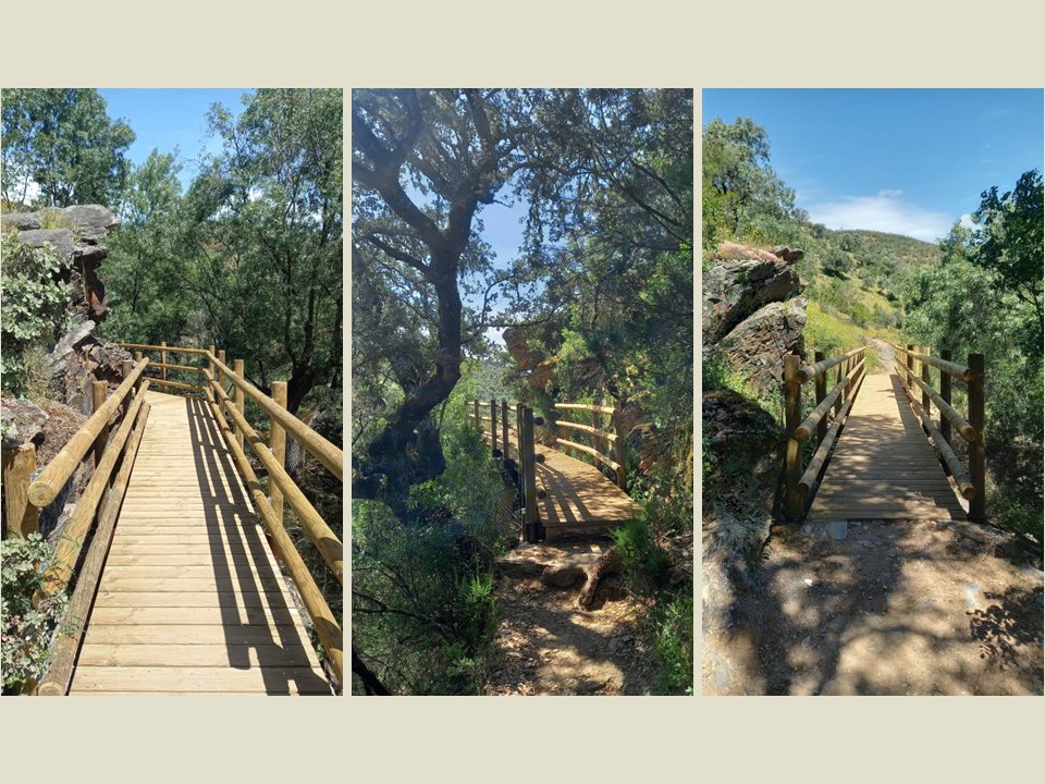 Las pasarelas de Malvecino son noticia en el numero de diciembre del boletín electrónico de Europarc 🍂🍂🍂 Ven a visitarlas! 👍😍
➡️redeuroparc.org/boletin-electr…
#Malvecino #biodiversidad #botánica #Monfragüe #ParqueNacional #ReservadelaBiosfera #pnmonfragüe #rbmonfragüe