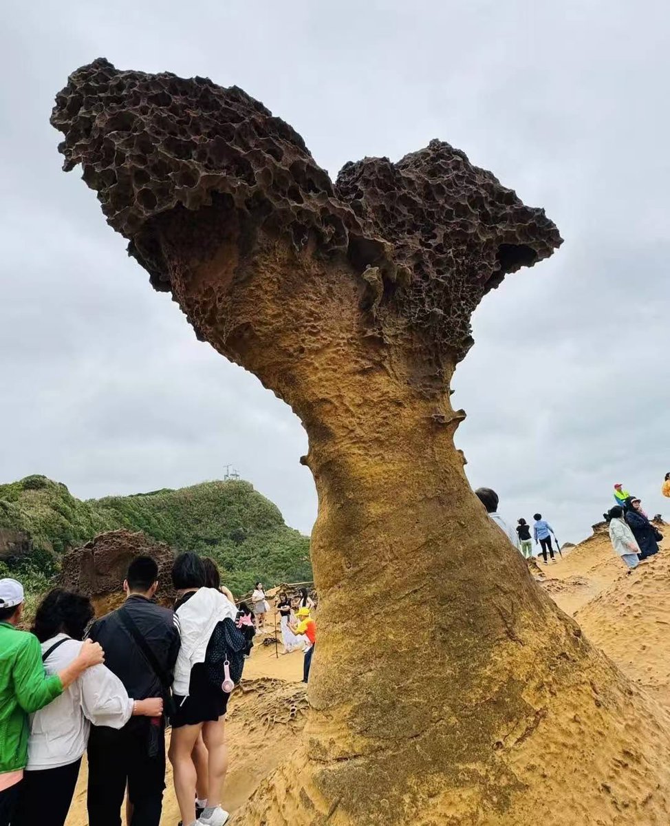 これはティガの変身器のようだ😂