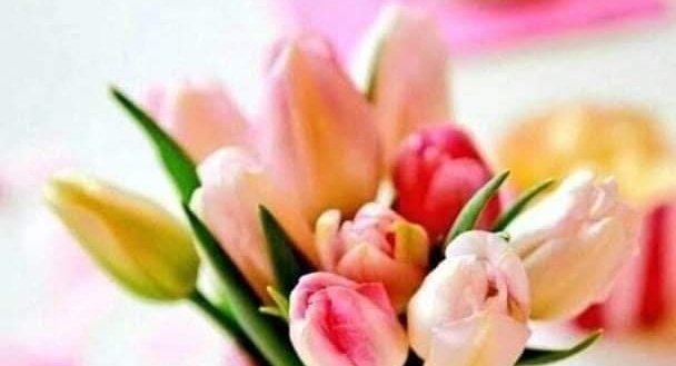 غريبة الناس
بعيدا عن الي ظروفهم دفعتهم للبزنس او الي بيعشقوا الفلوس وبقى ادمان يخدوا مقابل او يدوا مقابل..
الناس الي بتتعرف وتقابل وتمارس (وبلوشي) من باب انه حصل انجداب، هو ليه التنقل بين الاشخاص ده مش حلو ابدا نفسيا للي مش عارف ياريت تعرف وتهدء شوية!
نصيحة للطيبين واسف للازعاج